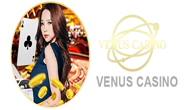 bet366 Informações básicas sobre o saguão do cassino Venus